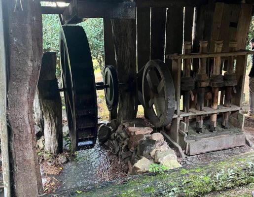 Foto - Processo Histórico da erva mate.